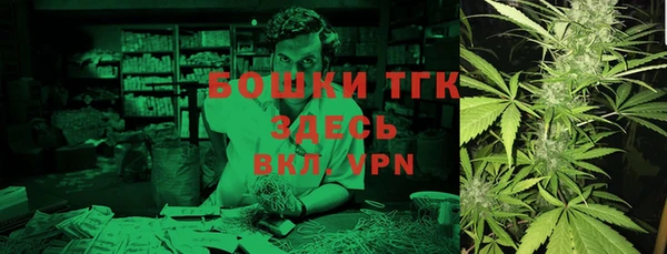 стаф Абинск