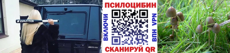 Псилоцибиновые грибы ЛСД  shop как зайти  Терек 