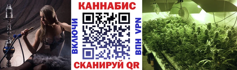 Бошки Шишки ГИДРОПОН  Терек 